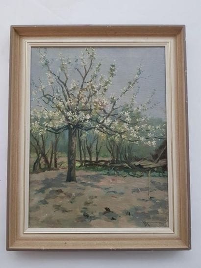 KAEMMERER Johan Hendrik (1894-1970) 