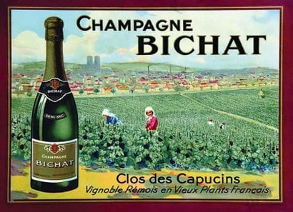 Champagne Bichat Clos des Caucins Vignoble...
