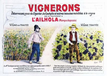 Vignerons L' Ailhola Traitement des Vignes...