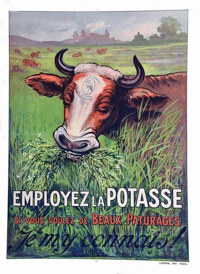 Si Vous Voulez de Beaux Paturages employez...