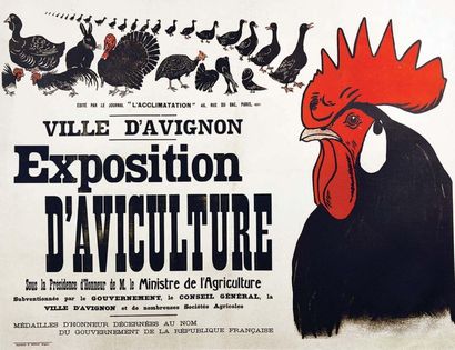 Exposition D'Aviculture Ville d'Avignon vers...
