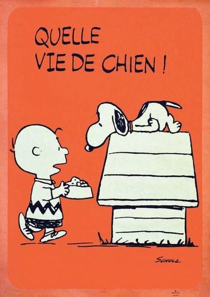 Quel Vie de Chien Snoopy vers 1970	SCHULTZ...