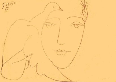 Visage à la Colombe 1950	PICASSO PABLO
1...
