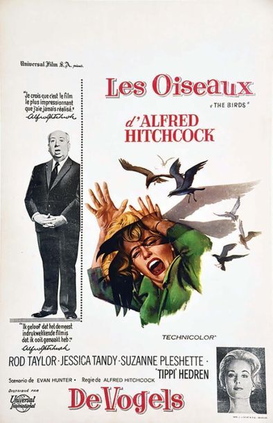 Les Oiseaux De Vogels Alfred Hitchcock 1963
J....