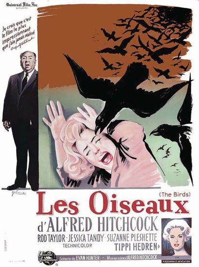 Les Oiseaux ALFRED HITCHCOCK 1963	GRINSSON
Cinemato...