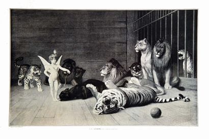 L'Amour Vainqueur Tigres, Lions Panthères...