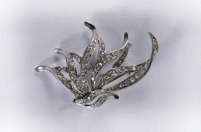 Broche en or gris 18K (750 millièmes) à branches...