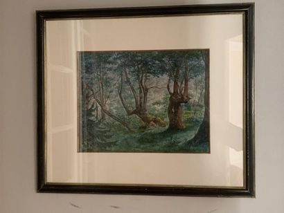 MEYER 
Sous bois
Daté 1883
29 x 39 cm