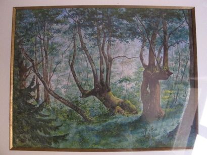 MEYER 
Sous bois
Daté 1883
29 x 39 cm