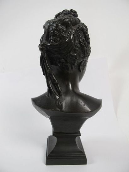 d'après Jean Goujon, buste de Diane, bronze...