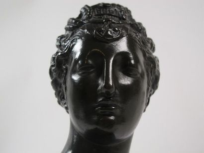 d'après Jean Goujon, buste de Diane, bronze...