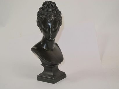 d'après Jean Goujon, buste de Diane, bronze...