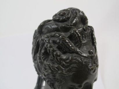 d'après Jean Goujon, buste de Diane, bronze...