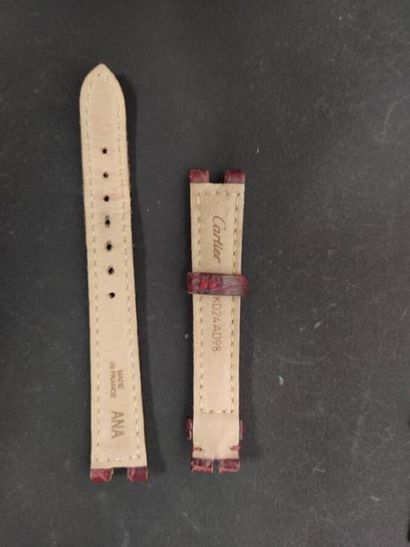 Deux bracelets de montre en cuir