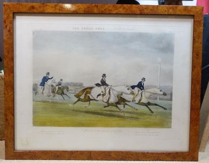 The Derby Pet, 
lithographie cadre en loupe...