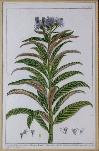 Suite de six planches gravées en couleurs...