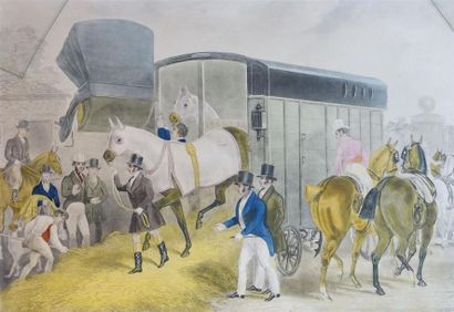 The Derby Pet 