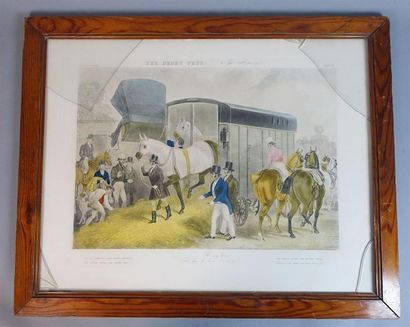 The Derby Pet 