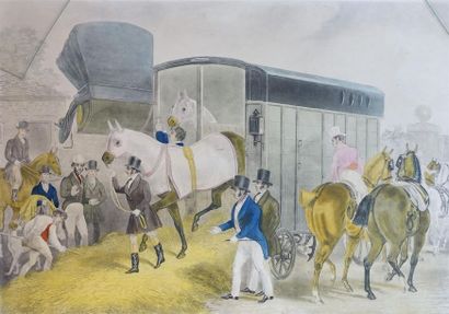 The Derby Pet 