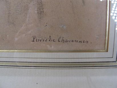 PUVIS DE CHAVANNES dans le goût
Portrait...