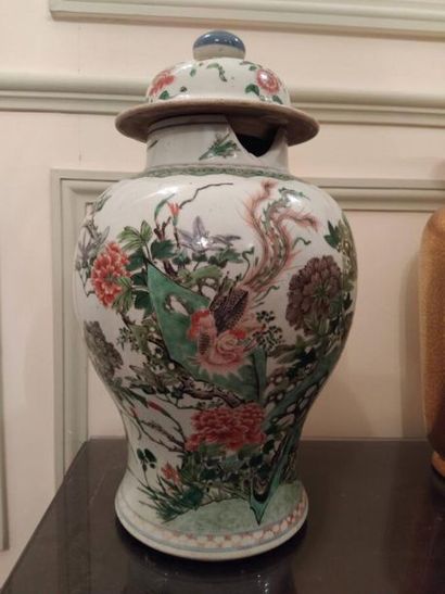 CHINE
Paire de potiches Famille verte en...