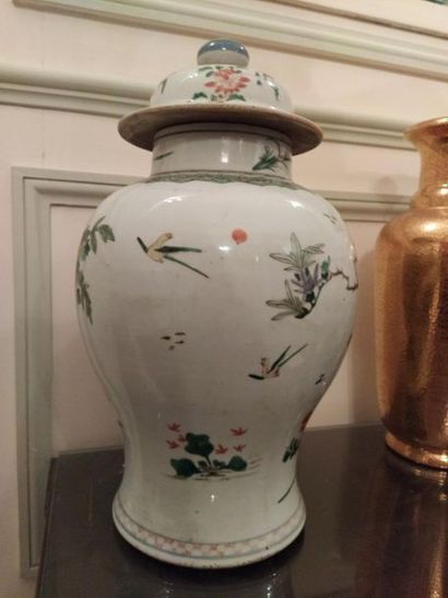CHINE
Paire de potiches Famille verte en...