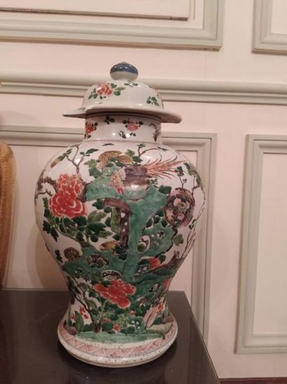 CHINE
Paire de potiches Famille verte en...