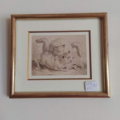 Suite de quatre petites gravures animalières
11...