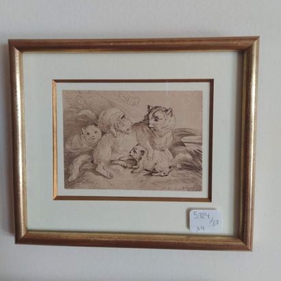 Suite de quatre petites gravures animalières
11...