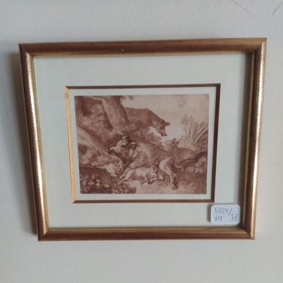 Suite de quatre petites gravures animalières
11...