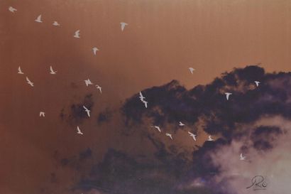 SEBBAN Arno (né en 1975)
Nuage, 2015
Photo...