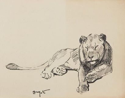 GUYOT Georges Lucien (1885-1973)
Lionne
Encre...