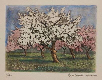 PISSARRO Paul Emile (1884-1972)
Cinq cartes...