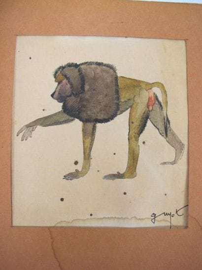 GUYOT Georges Lucien (1885 - 1973)
Singe
Encre...