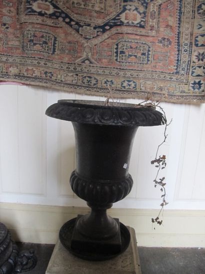 Set of Medici cast iron vases

Two big ones:...