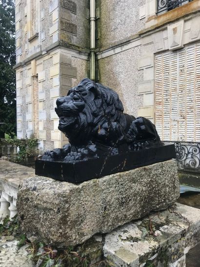 Pair of cast iron lions