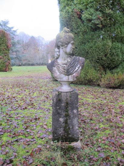 According to the antique

Female bust in...