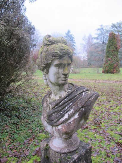 According to the antique

Female bust in...