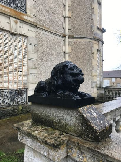 Pair of cast iron lions