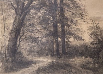 LHERMITTE Léon (1844-1925)

Le chemin sous...