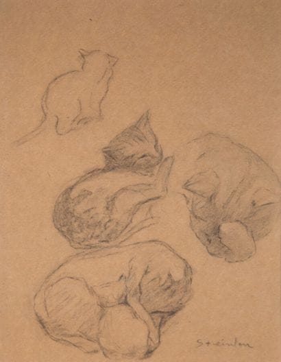 STEINLEN Théophile Alexandre (1859-1923)

Chatons...