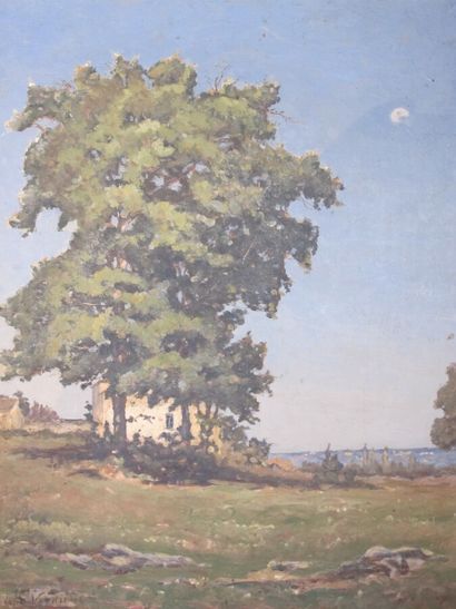 VERDIER Jean-Louis (1849-1895)

Arbre devant...