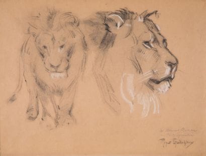GODCHAUX Roger (1878-1958)

Études de lion

Dessin...
