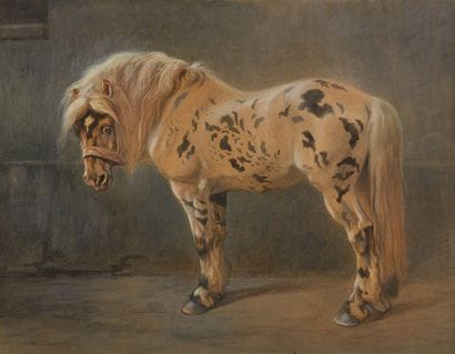 OGER Ferdinand (1872-1929) (attribué à)

Cheval...