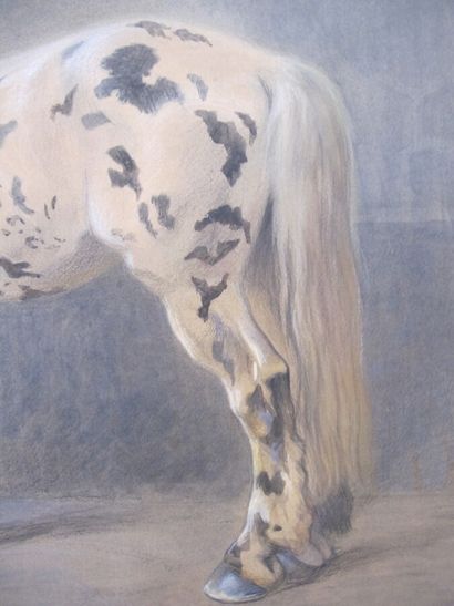 OGER Ferdinand (1872-1929) (attribué à)

Cheval...
