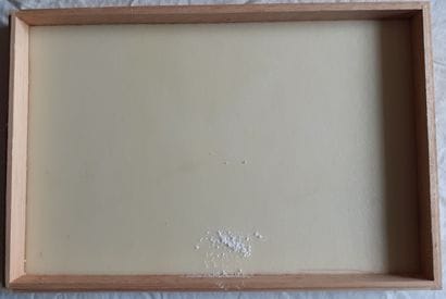 Empty glass entomological box, as is