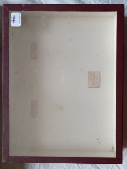Empty glass entomological box, as is