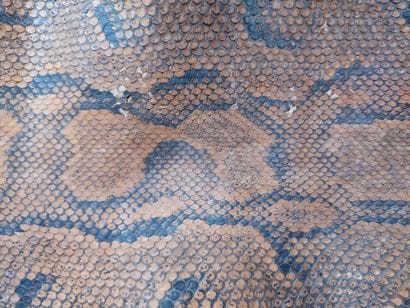Peau tannée de python

Python regius II/B...