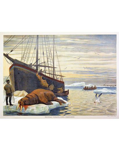 Newfoundland - The Animal Hunt - Russian...