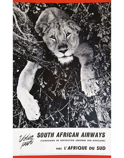 South African Airways to South Africa ( Lion...